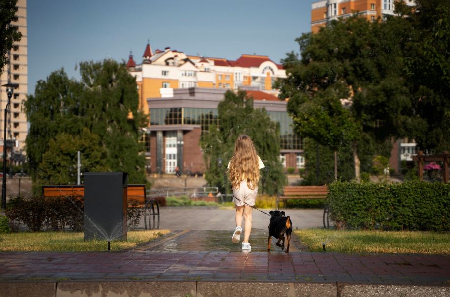 Ruhiger Stadtinnenhof mit Grün und Fußweg
